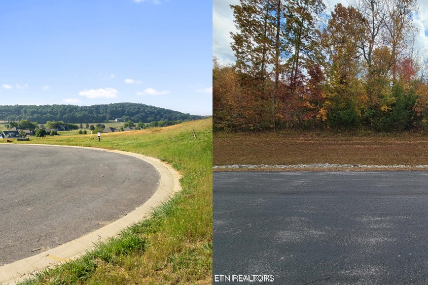 Blog Image 2-21-2026-Tennessee-National-and-Grande-Vista-Bay-Lots-Land-for-Sale-Amber-Nestor-Agent.jpg
