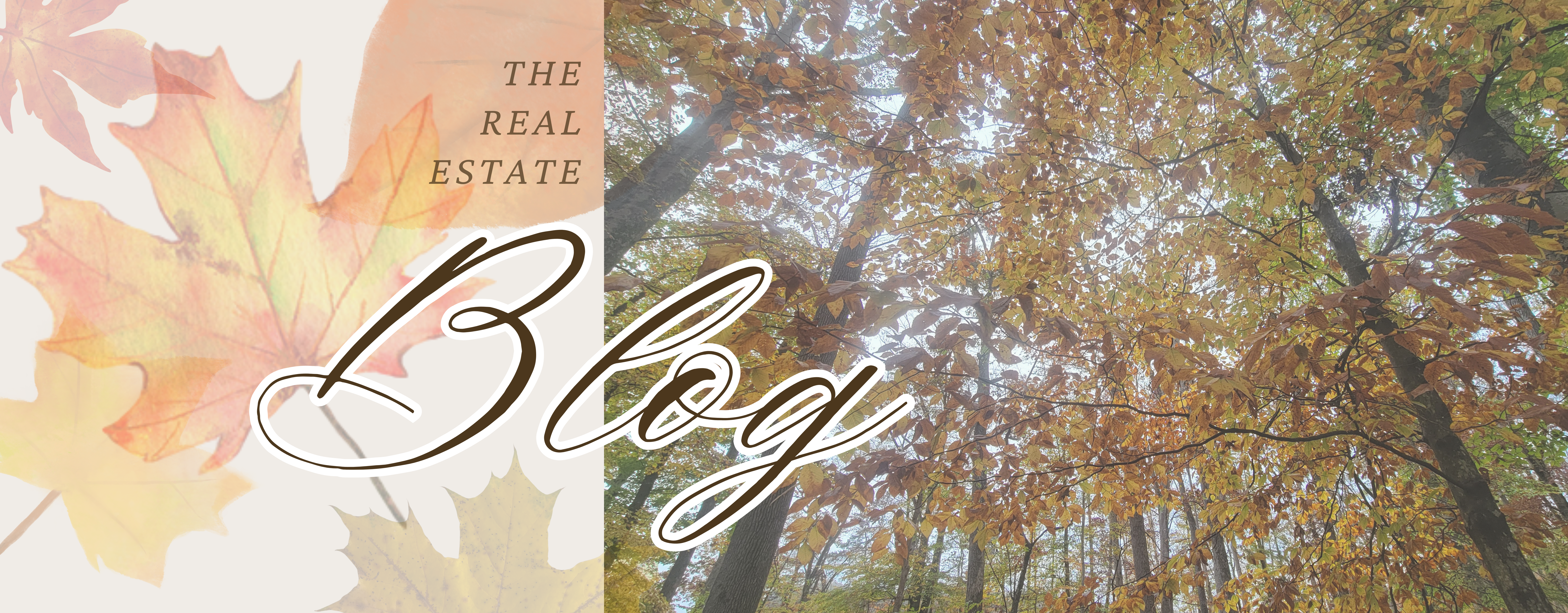 Amber Nestor's Real Estate Blog - The Real Estate Blog by Agent Amber Nestor